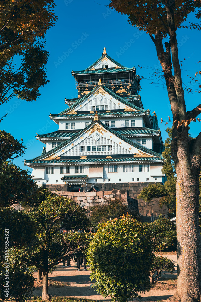 Fototapeta premium 大阪城