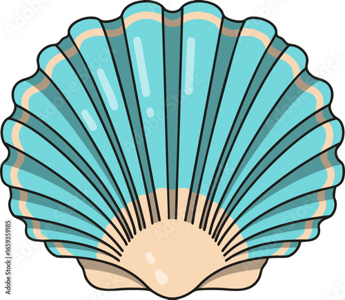 vector illustration of a seashell