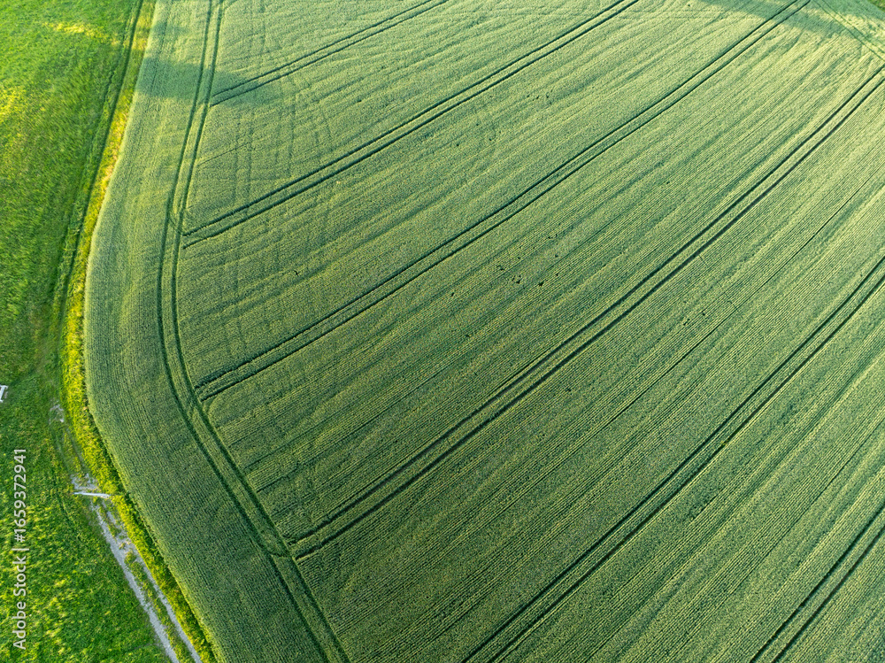 Naklejka premium Aerial view farmland with rows. Texture of agricultural fields.