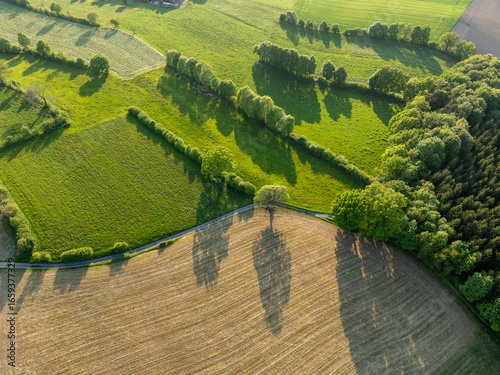 Aerial view of landscape pattern in Switzerland. Fields and hedges in canton of Fribourg in Sense district. Warm sun light in the evening.