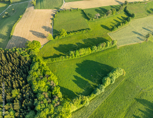Aerial view of landscape pattern in Switzerland. Fields and hedges in canton of Fribourg in Sense district. Warm sun light in the evening.