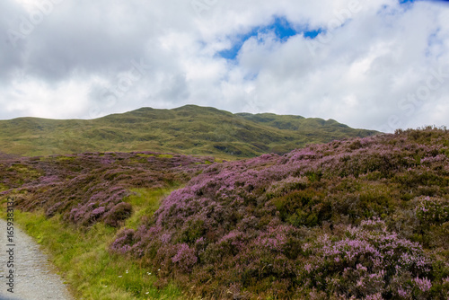 Meall nan Tarmachan, a Munro in the Ben Lawyers range of mountains