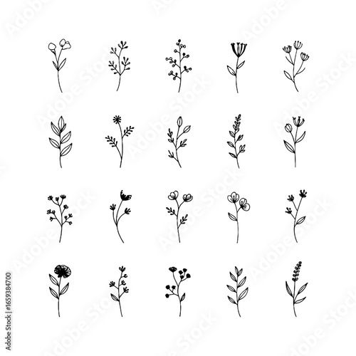 Delicate Floral Outline. Thin line floral elements in a hand-drawn style, ideal for subtle botanical patterns or minimalistic nature-themed designs.