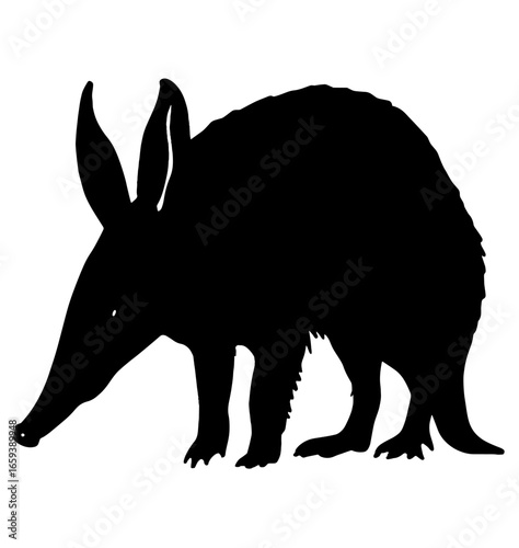 Aardvark silhouette with long snout and large ears – Unique wildlife icon, nocturnal forager, black animal outline