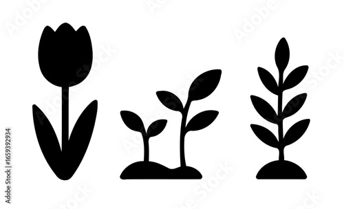 Botanical Silhouette Trio: Three minimalist silhouette floral illustrations. This scene captures the elegance of spring blossoms, emphasizing the graceful contours of plant life. 