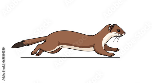 Energetic Animated Stoat Running, Artwork Showing a Wildlife Animal Moving Forward Quickly With Power and Precision, Illustrative Representation