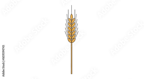 Stylized wheat stalk illustration representing agriculture and harvest season symbol with organic grain seed element in minimal design isolated on