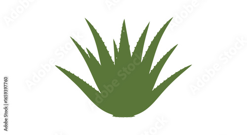 Aloe Vera Plant Silhouette in Green: A Minimalist Botanical Illustration for Natural Beauty and Healthcare Concepts