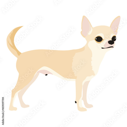Chihuahua dog illustration cartoon vector