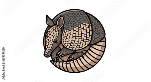 Stylized armadillo illustration curling into a protective ball on white backdrop showcasing the animal's unique armored shell and docile nature