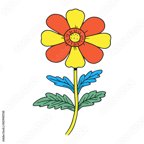 Flower illustration petals asteraceae vector