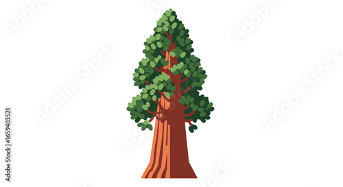 Stylized redwood illustration for nature themed designs, botanical artwork showcases a simplified tree form suitable for vector graphics projects