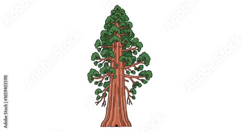 Cartoon rendition of a majestic sequoia tree, symbolizing longevity and representing nature's immense presence in an illustrative style