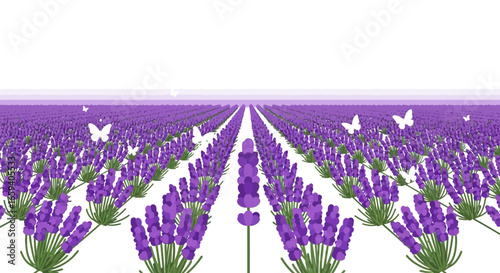 Enchanting lavender fields with fluttering butterflies create a tranquil and peaceful scene, offering a serene escape into nature's beauty in full