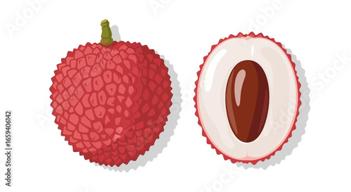 Exotic lychee fruit illustration showing whole and cross-section against a white background evoking freshness and tropical flavors