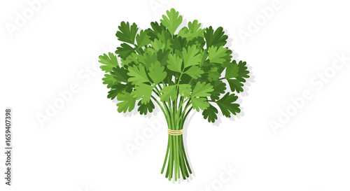 Fresh Herb Bundle: A Vibrant Green Parsley Bunch Isolated on a Clean White Backdrop perfect for culinary themed designs and ingredient illustrations