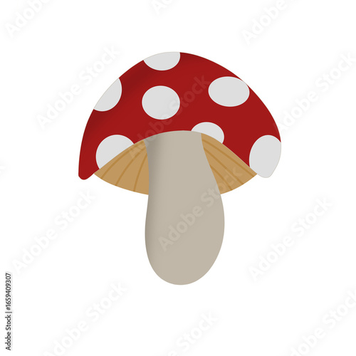 mushroom on white background
