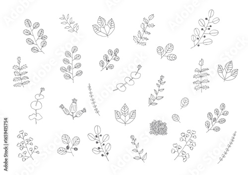 シンプルな植物の手描きイラスト1