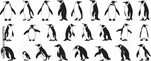 hand drawn style penguin vector collection ai eps jpeg png editable minimalist bird graphics for web and print