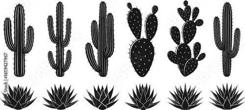 Set of cactus and succulent silhouettes with varied shapes for botanical, decorative, and design projects