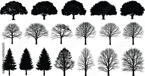 Set of diverse tree silhouettes including broadleaf, bare, and conifer forms for seasonal and design projects