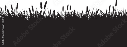 Wild Grass & Grain Vector Set