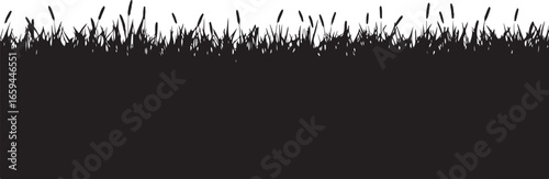 Wild Grass & Grain Vector Set