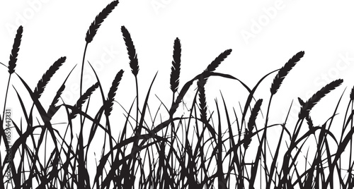 Wild Grass & Grain Vector Set