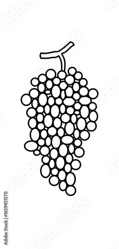 Fotografie a bunch of grapes