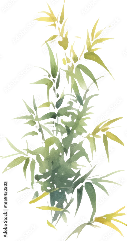 Fototapeta premium Vector watercolor painted bamboo. Hand drawn flower design elements isolated on white background.