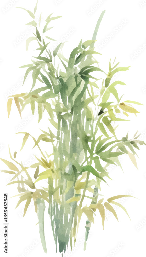 Fototapeta premium Vector watercolor painted bamboo. Hand drawn flower design elements isolated on white background.