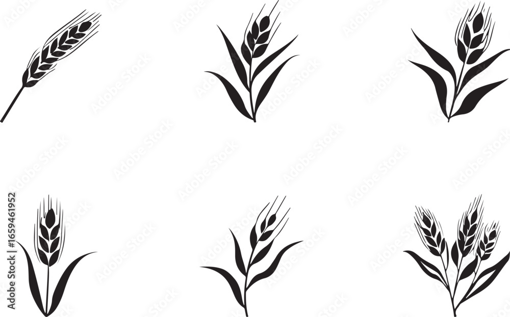 Naklejka premium Rustic Wheat Silhouette Design