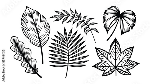 Vector art of collection of various tropical plant leaves in a black and white sketch style, isolated on a white background.