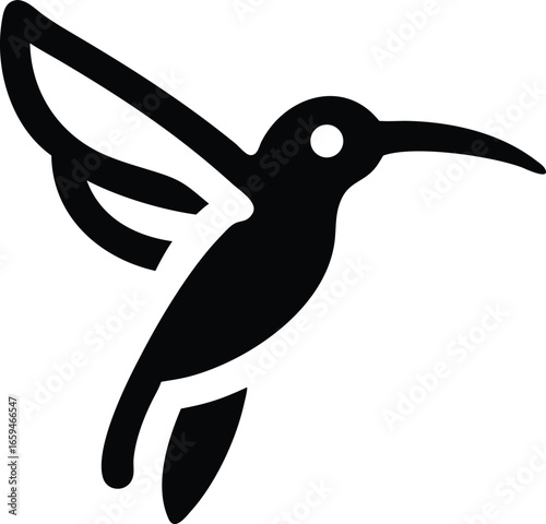 Hovering Hummingbird Vector