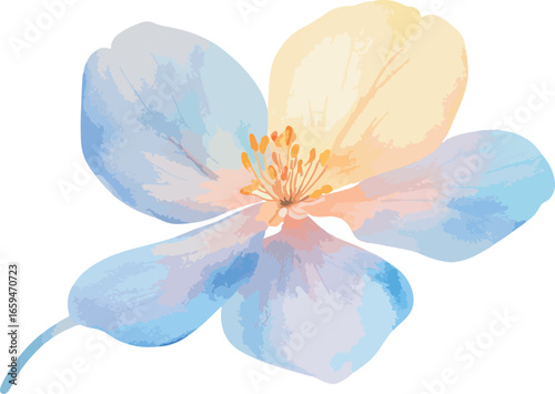 Whimsical watercolor wildflowers and botanical elements on a clean white background