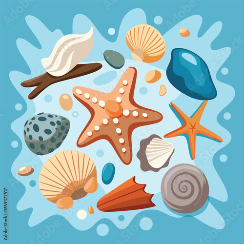 Starfish and sea shells on a tropical beach, a beautiful summer collection of marine life