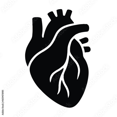 Black silhouette of a human heart with veins on a white background anatomy organ