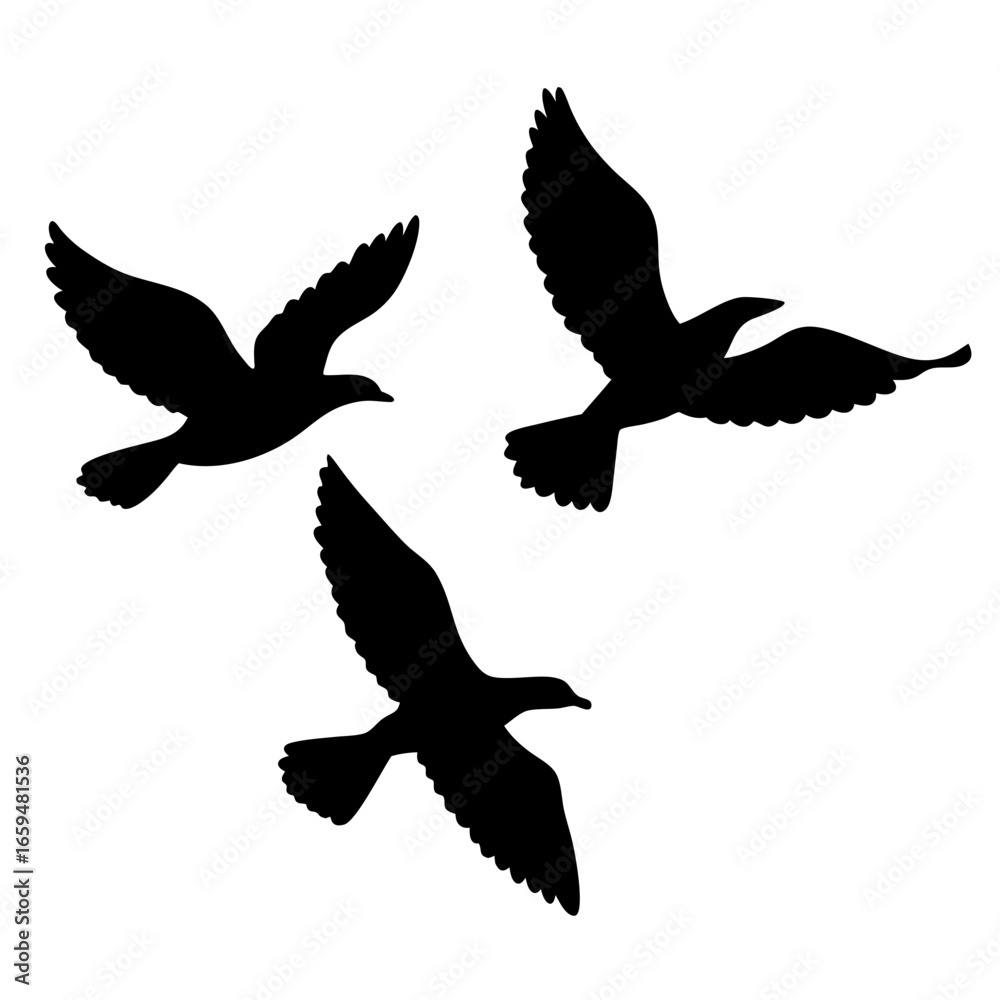 Fototapeta premium Three black silhouette birds flying freely on a white background isolated
