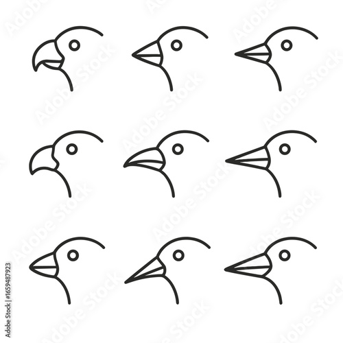 Beak Shapes Icon Set. Outline icon set of beak shape: hooked beak, conical beak, slender beak, spatulate beak, curved beak, chisel