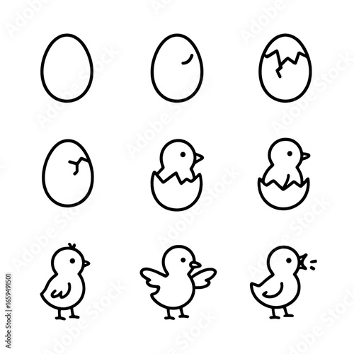 Egg Hatching Stages. Outline icon set of egg hatching stages: unhatched egg, pip mark, cracking shell, emerging beak, half emerged