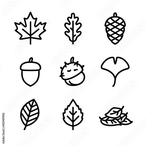 Fall Foliage Icons. Outline icon set of fall foliage: maple leaf, oak leaf, pine cone, acorn, chestnut, ginkgo leaf, elm leaf,
