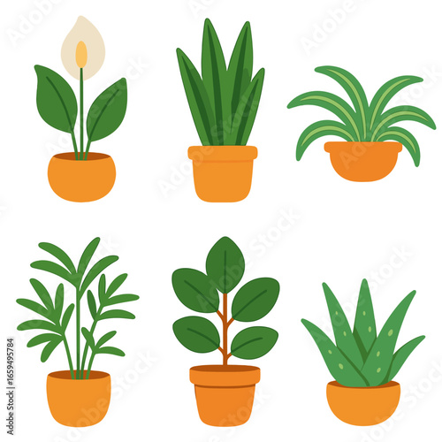 Air-Purifying Plant Icons. Flat vector mini-illustrations Air-purifying plants in colors children's
