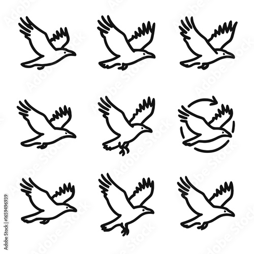 Raven Flight Patterns. Outline icon set of raven flight patterns: soaring, gliding, flapping, diving, hovering, circling, banking,