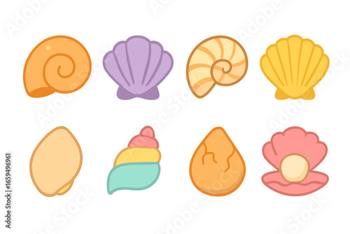 Colorful Shell Collection. Flat vector mini-illustrations shell structure in colors children's illustrations: spiral shell,