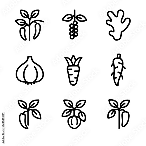 Spicy Plant Icons. Outline icon set of spicy plant sources: chili plant, black pepper vine, ginger root, garlic bulb, wasabi plant