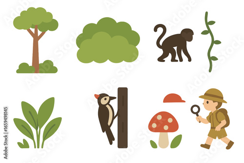 Forest Layers Icons. Flat vector mini-illustrations forest canopy layers in colors children's illustrations: emergent tree, canopy