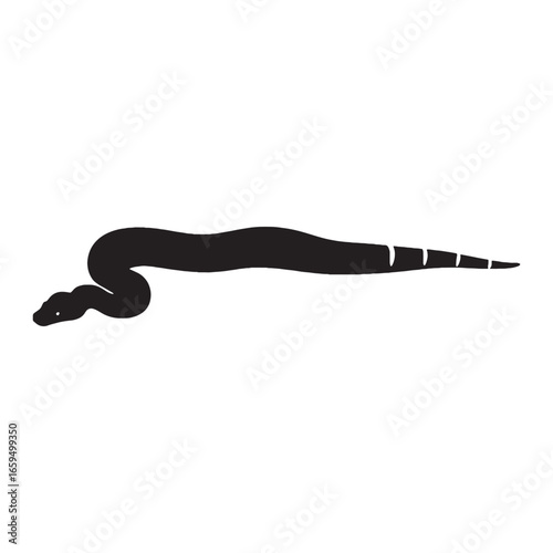 Strong Boa Constrictor Silhouette with Defined Snake Contour – Boa Constrictor Vector Design for Graphic Media – Black Vector of Boa Constrictor