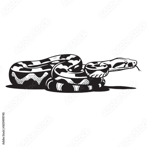 Monochrome Boa Constrictor Silhouette Highlighting Coiling Predator Body – Boa Constrictor Vector Graphic for Creative Design – Boa Constrictor Illustration – Silhouette of Boa Constrictor