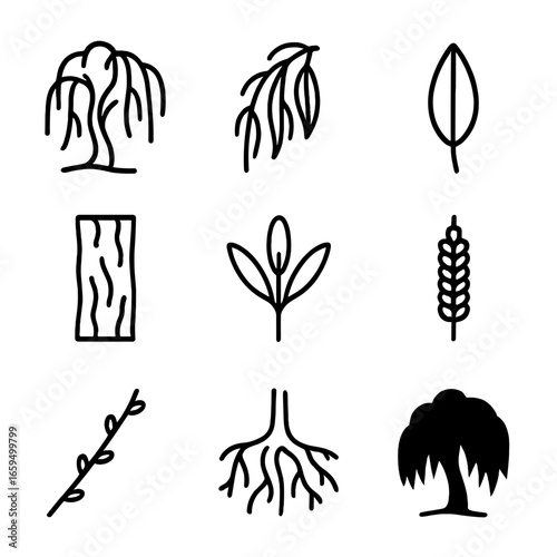 Willow Icon Set. Outline icon set of willow: willow tree, drooping branch, willow leaf, willow bark, willow seed, willow catkin,