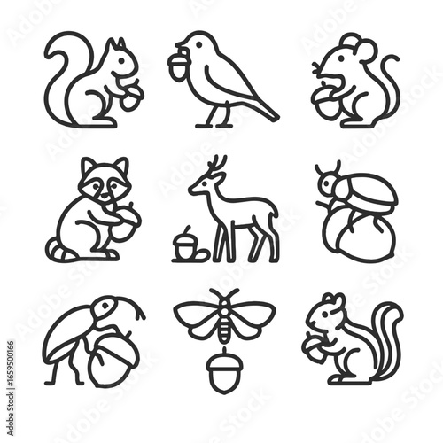 Acorn Animal Icons. Outline icon set of acorn-related animals: squirrel holding acorn, bird with acorn, mouse with acorn, raccoon